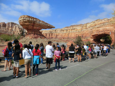 How Long are the lines for Cars Land