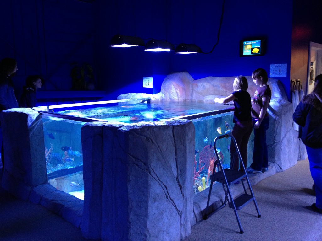 The Portland Aquarium just opened this month, promising a new place for Oregon families to get up close with local sea life. Our family visited the new attraction and, sadly, it is a big disappointment. Oregon families should wait to visit until significant upgrades can be made to the facility.
