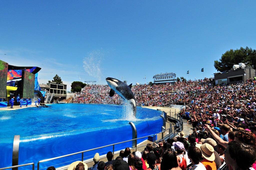 Sea World is one of my family's favorite southern California destinations and I stumbled onto two ways to get free admission in 2013.