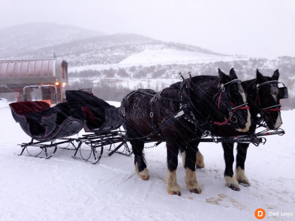 Canyons Resort Sleigh Ride