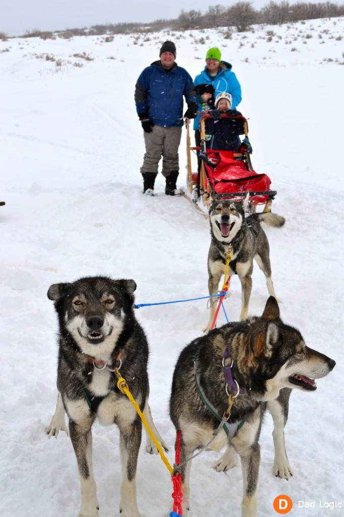 Dog Sledding 02