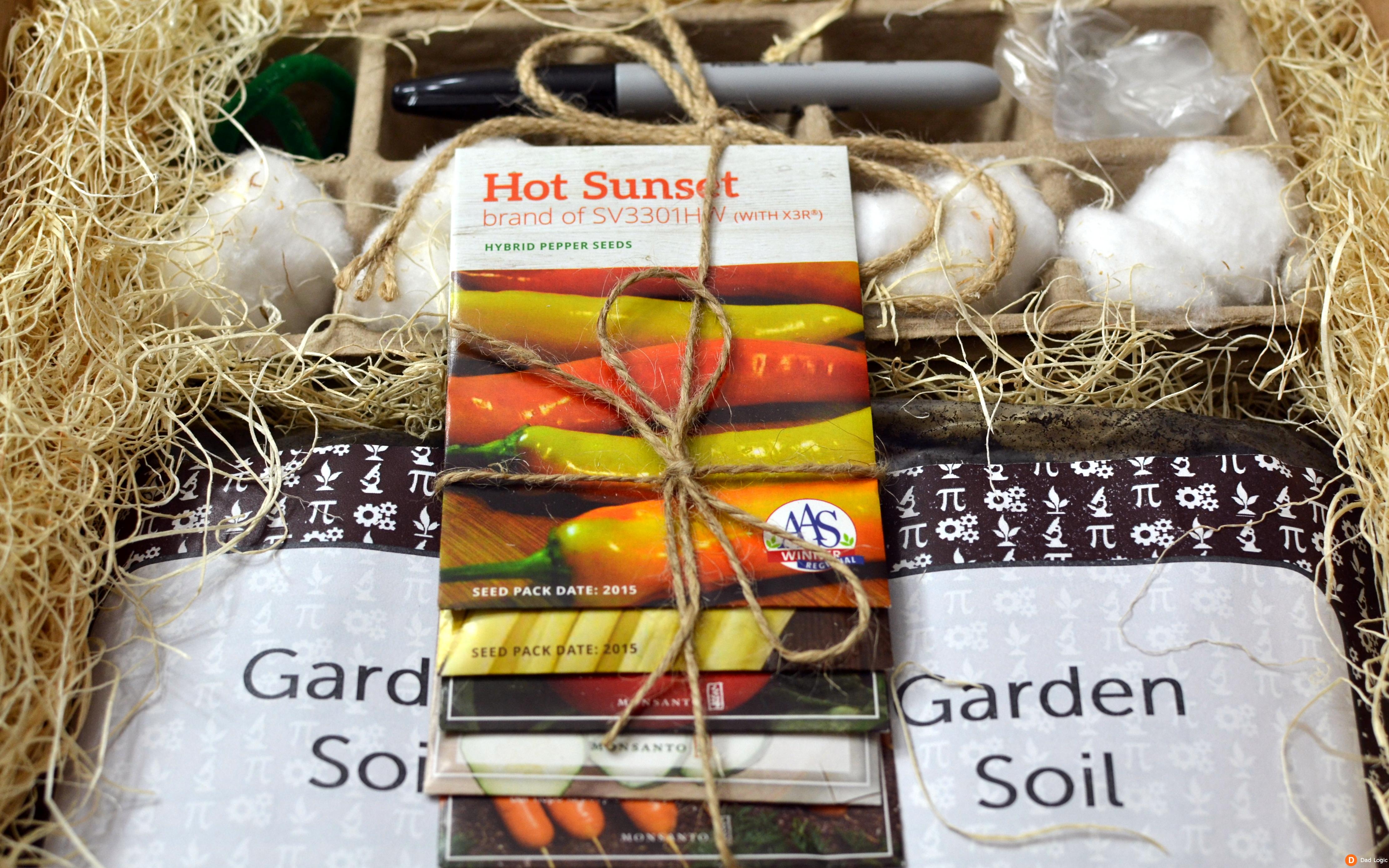 Create a Garden in a Glove for a Fun Science Project at Home - Dad Logic